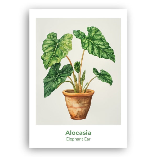 Alocasia 02 Digital Art Print Watercolor Poster - Wall Art Poster, Instant Download