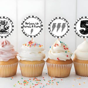 May include: Four cupcakes with decorative toppers. The toppers feature a raccoon, text that reads "Nolan is Feral & Five!" and lightning bolts, and the number 5. The cupcakes have pink and white frosting, and are decorated with sprinkles.