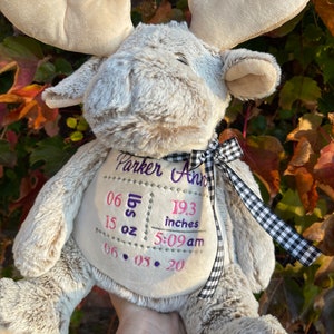 Personalized Stuffed Animal, Personalized Baby Gift, Birth Announcement Stuffie Animal, Birth Stats stuffed Bear, Newborn Gift Baby Shower