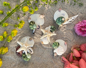 How about "Seashell Splendor Jewelry"? This title combines the allure of seashells with the elegance of jewelry