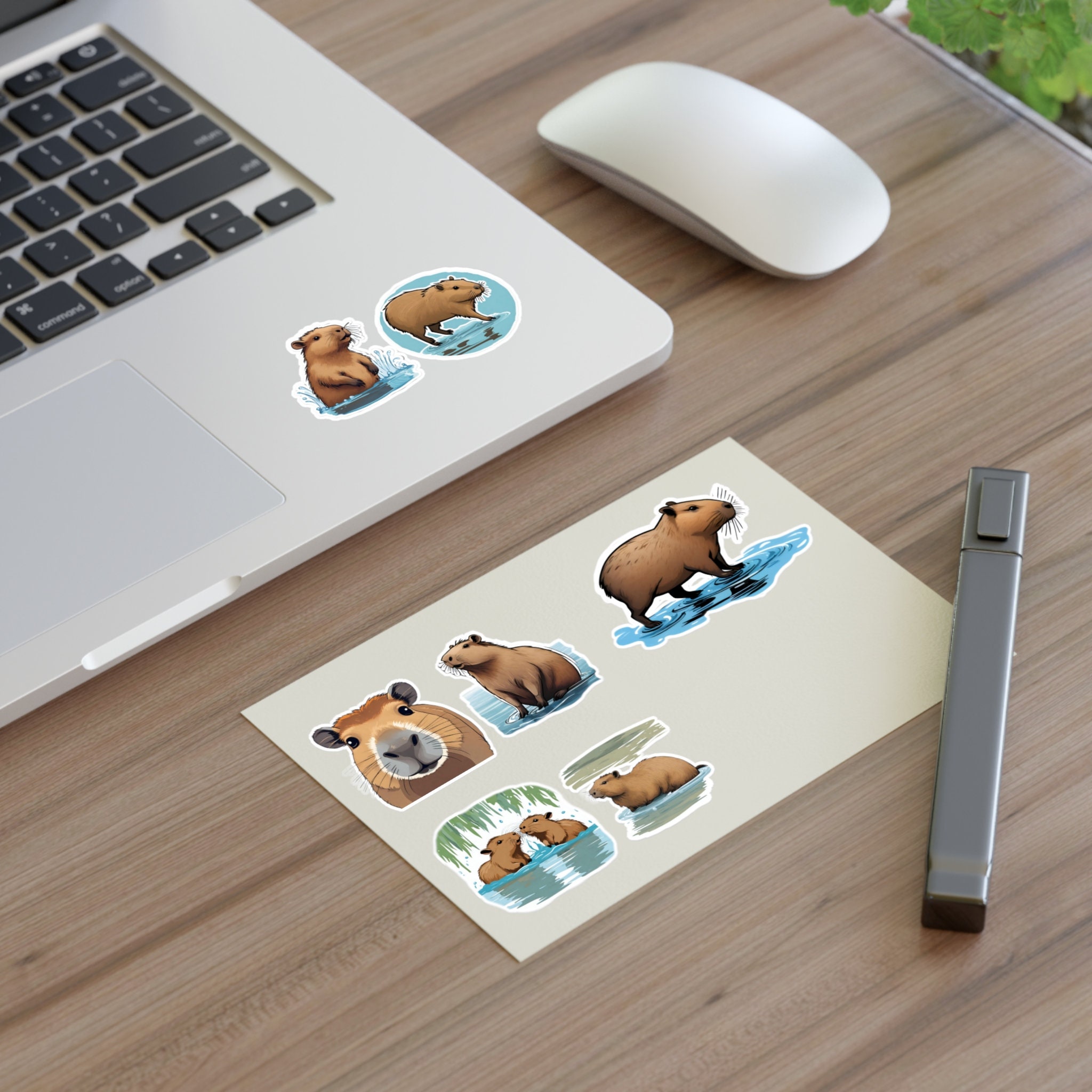 Capybara Stickers, Set of 7 - Etsy
