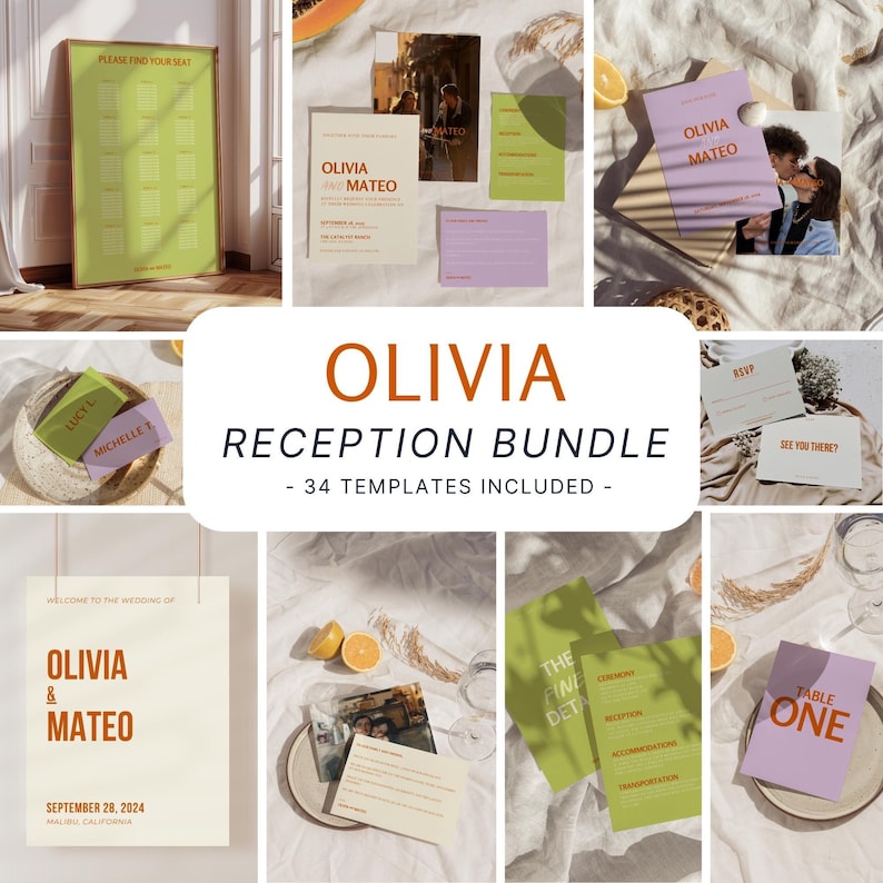 Colorful Wedding Reception Bundle • Modern Minimalist Retro Signage Package • Editable Canva Templates -OL10 image 1