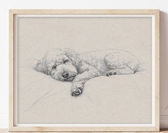 Sleeping Poodle Sketch - Minimalist Dog Art Print, Rustic Wall Decor
