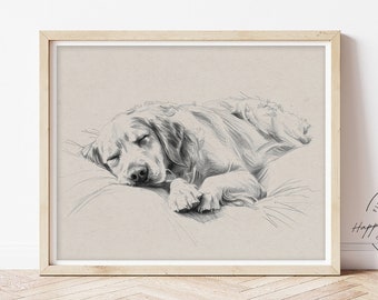Sleeping Golden Retriever Sketch – Minimalist Dog Art Print, Rustic Wall Decor