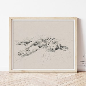 Vizsla tekening muurkunst print, hond schets poster, rustiek canvas teken, esthetisch kunstwerk, decor Memorial cadeau