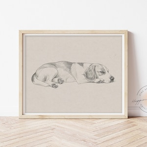Sleeping Beagle Sketch Wall Art Print, Dog Owner Gift, Minimalist Drawing Canvas Artwork, Aesthetic Room Decor