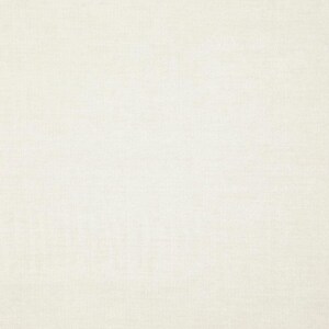 Casa Velvet White Cotton