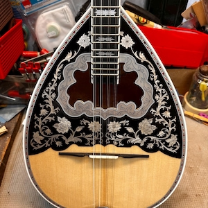 May include: A traditional stringed instrument with a pear-shaped body. The instrument features a light wood soundboard, a black and silver decorative top, and a fretboard with strings. The instrument has a decorative floral design.