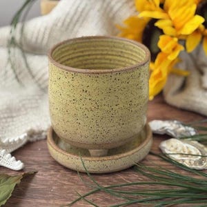 May include: A speckled, yellow-green ceramic planter with a matching saucer. The cylindrical planter has a textured, ridged design around the top. The saucer is round and sits beneath the planter, creating a cohesive look. The planter is suitable for small plants.