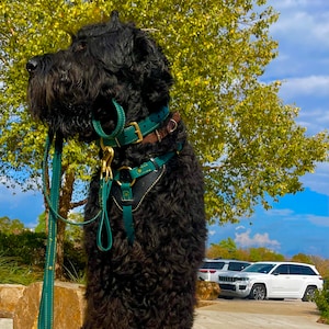 Dog Harness (Giant breeds)