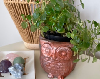 Owl planter, plant holder, owl plant holder