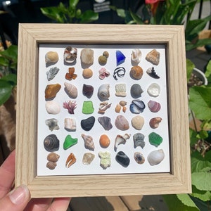 May include: A framed display of assorted seashells, sea glass, and pebbles. The items are arranged on a white background within a light wood frame. The collection features a range of colours and textures, creating a natural, coastal theme. The frame is approximately 20 cm x 20 cm.