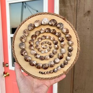 May include: A circular wooden plaque featuring a spiral pattern of seashells. The shells, in shades of brown and white, are arranged on a light wood base. A rope border frames the design, giving it a rustic, seaside feel.