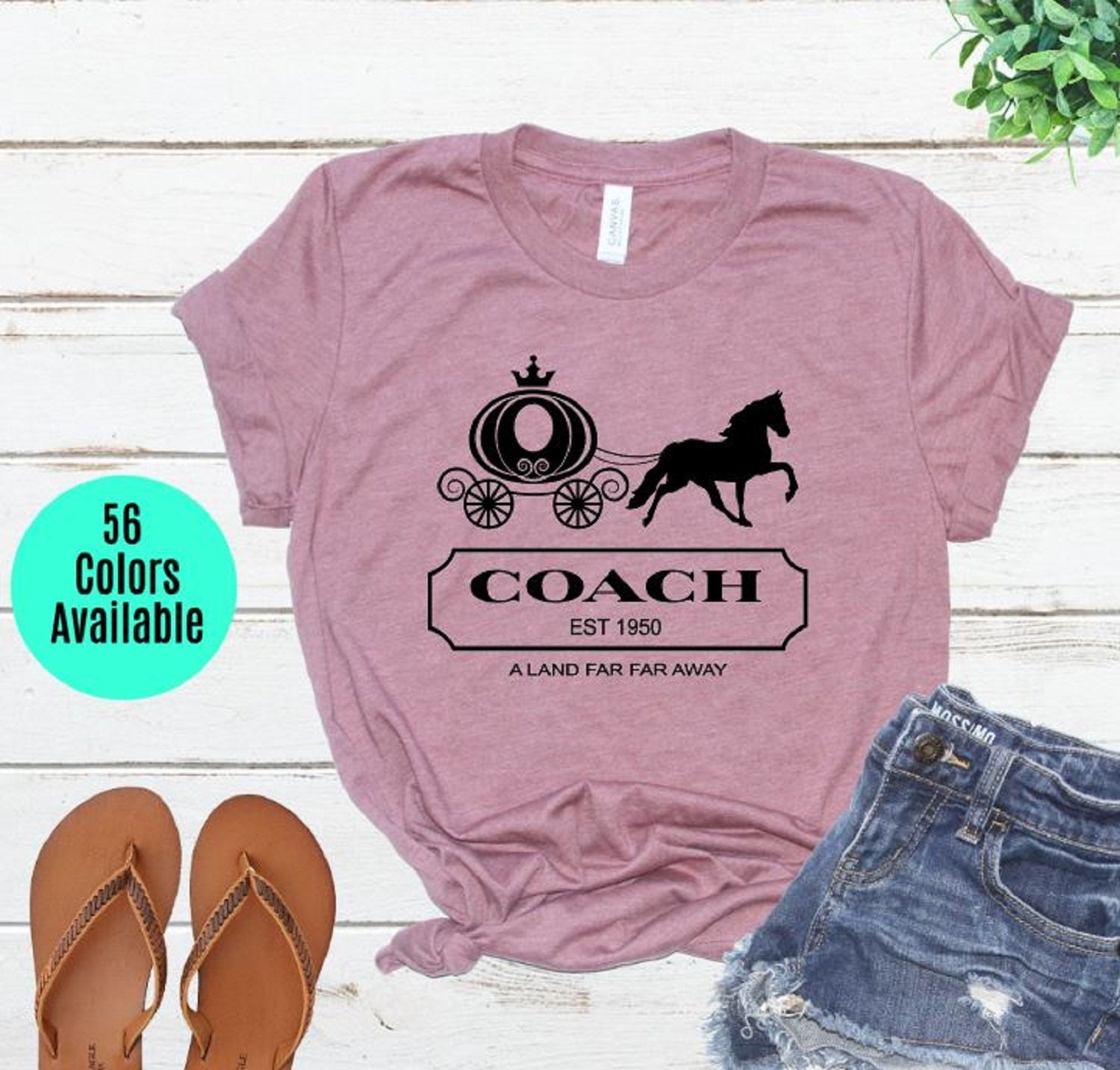 cinderella coach shirt