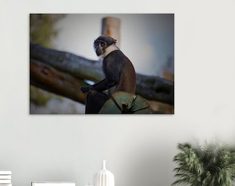 L'hoest Monkey Canvas Print