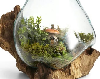 Hand-Blown Glass and Teak Wood / Driftwood Terrarium , Vase, Sculpture, Art, Wedding Gift -Betta Fish Bowl, Plant Holder