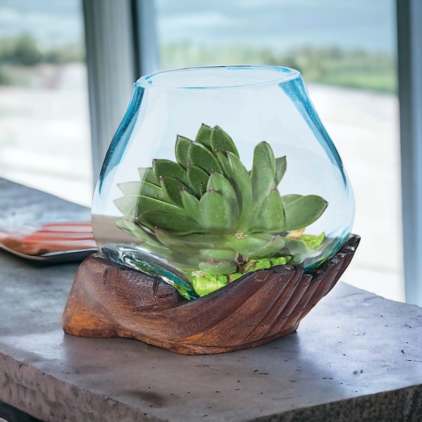 Mid-Sized Hand-Blown Glass and Teak Wood / Driftwood Terrarium , Vase, Sculpture, Art, Wedding Gift -Betta Fish Bowl, Plant Holder