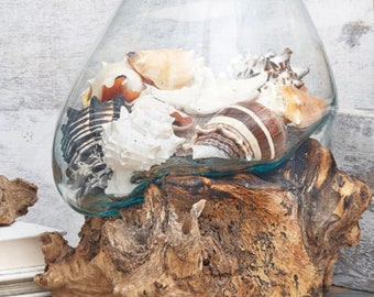Large Hand-Blown Glass and Teak Wood / Driftwood Terrarium , Vase, Sculpture, Art, Wedding Gift -Betta Fish Bowl, Plant Holder