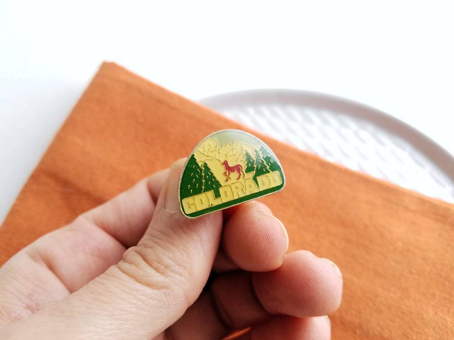 Vintage Rounded Colorado Enamel Pin with Mountains and Moose | Etsy
