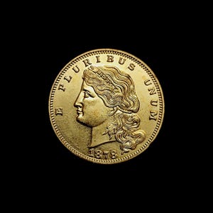 Op de afbeelding: Een gouden munt met een profiel van een vrouwenhoofd, naar links gericht, omringd door de woorden "E PLURIBUS UNUM" en de datum "1878". De munt heeft een gedetailleerd ontwerp en een zwarte achtergrond.