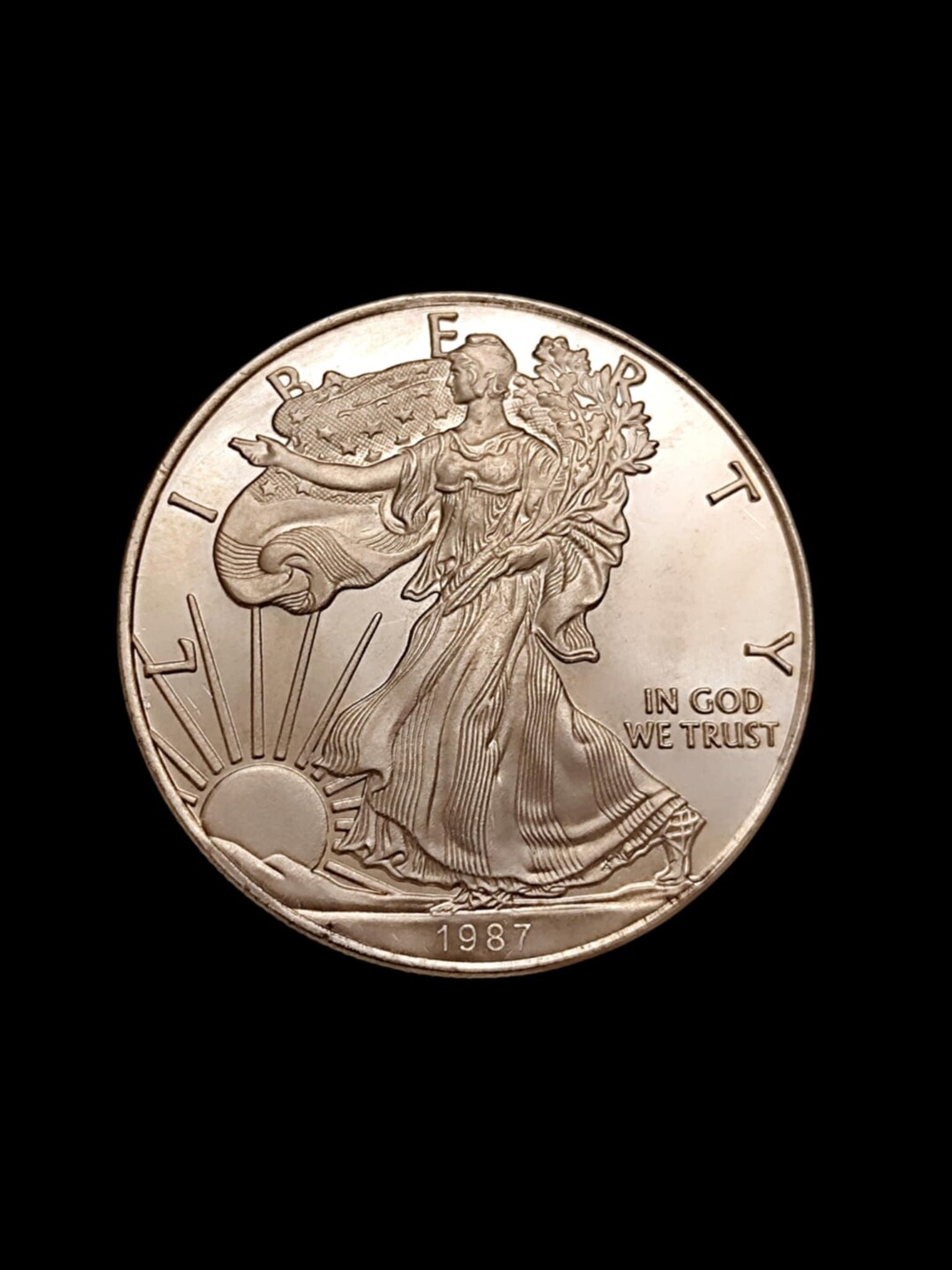 1987年アメリカ合衆国 銀貨 il_1080xN.7553203584_t2a0.jpg