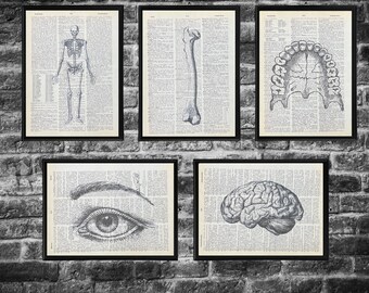 Anatomy Dictionary Prints Minimalist Black and White Art Print Set of Five Recycled Eco-Friendly Vintage Book Pages-2