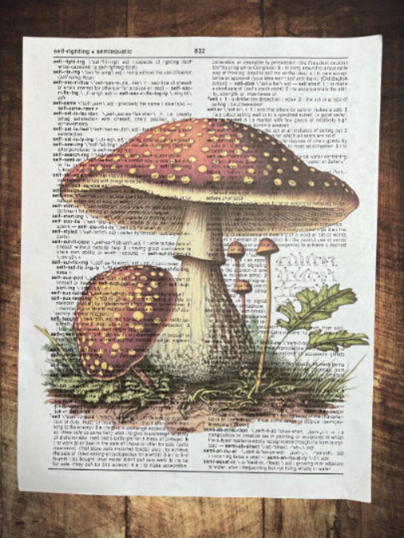 Mushroom Dictionary Prints Cottagecore Wall Art Mushroom Print Etsy