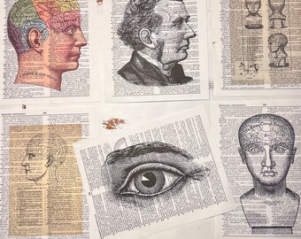 Phrenology Themed Dictionary Prints Art Print Recycled Book Page Gift for Doctor Medical Chart Art Prints Gallery Office Wall Medical Office