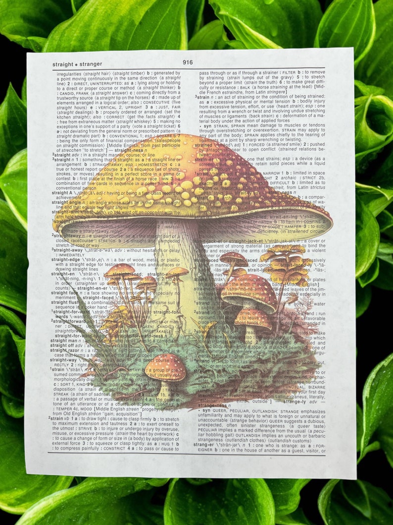 Mushroom Dictionary Prints Cottagecore Wall Art Mushroom Home Decor