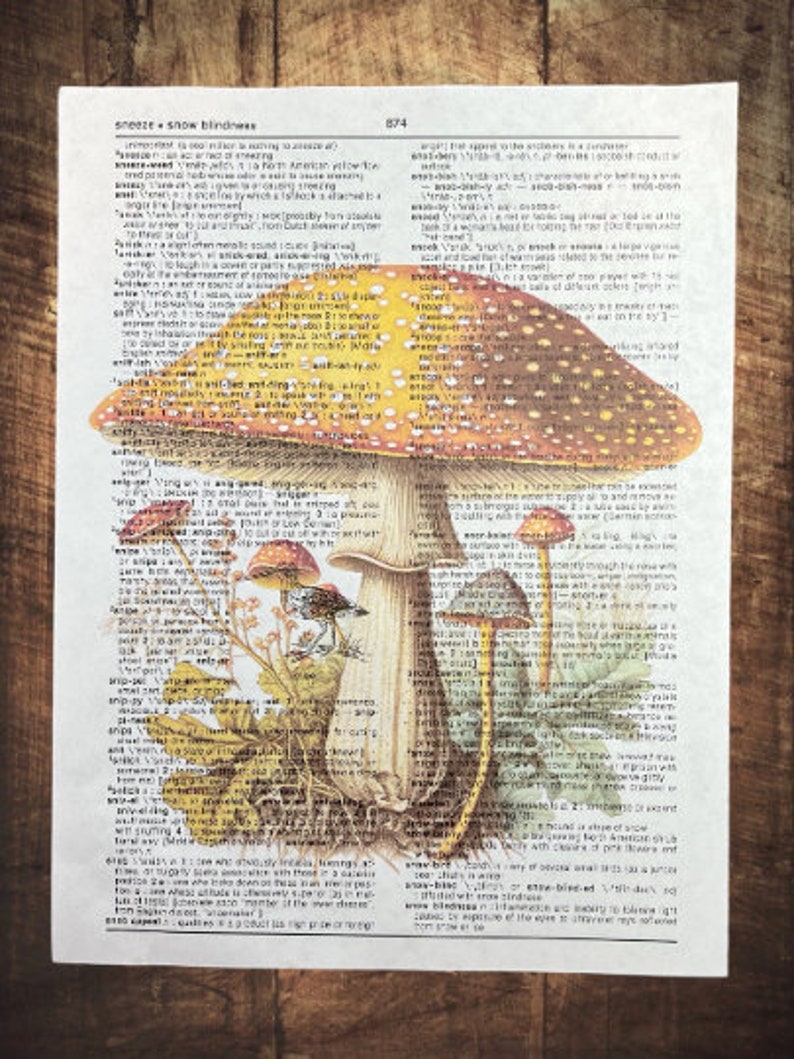Mushroom Dictionary Prints Cottagecore Wall Art Mushroom Print
