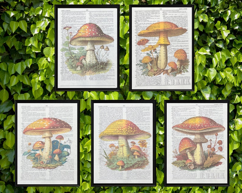 Mushroom Dictionary Prints Cottagecore Wall Art Mushroom Home Decor