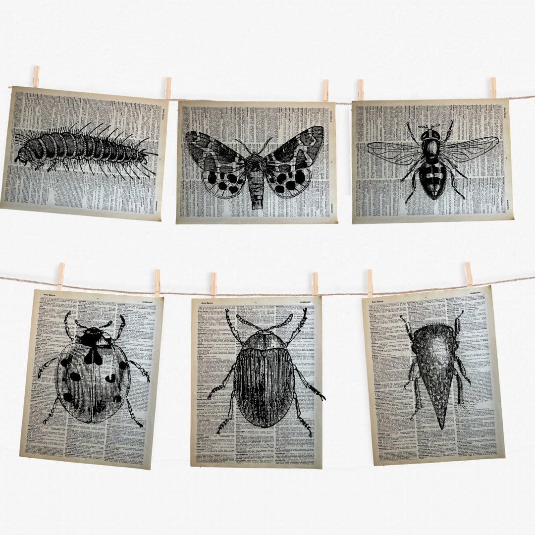 Insect Dictionary Prints Black and White, Entomology Prints Dictionary ...