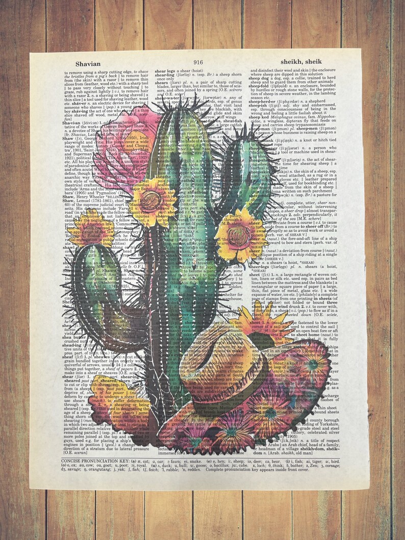 Cactus With Flowers Dictionary Prints Cactus Home Wall Decor Etsy