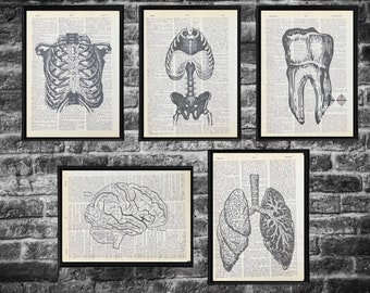 Anatomy Dictionary Prints Black and White Art Print Recycled Book Pages Art Anatomical Art Prints Gothic Home Decor Dark Academia Art Prints