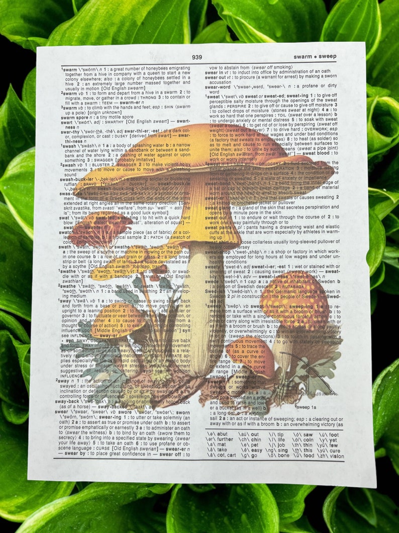 Mushroom Dictionary Prints Cottagecore Wall Art Mushroom Home Decor