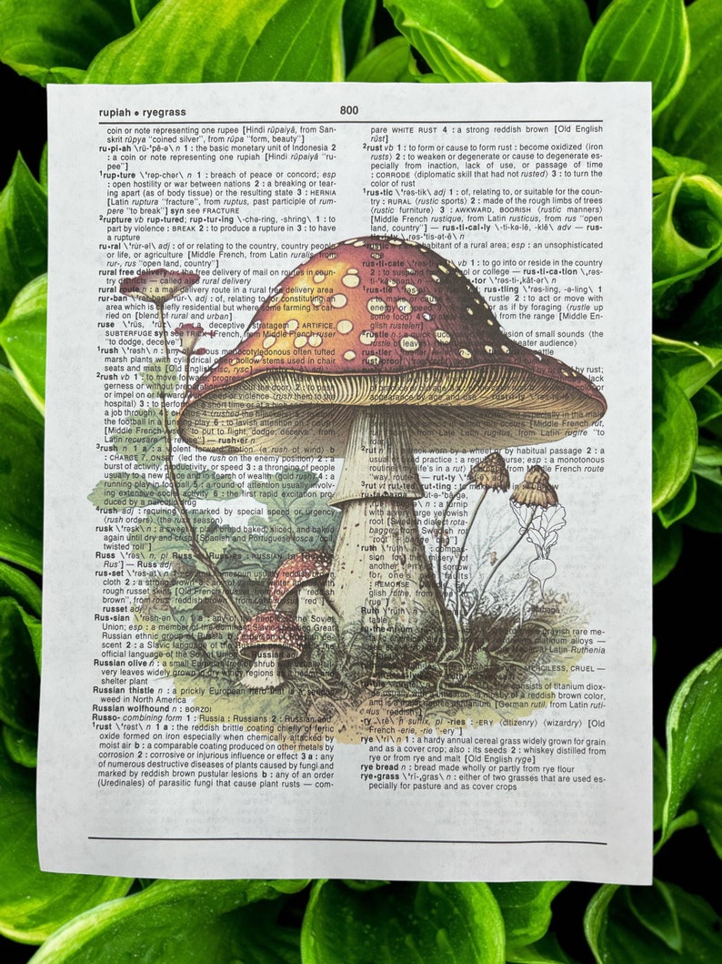 Mushroom Dictionary Prints Cottagecore Wall Art Mushroom Home Decor mushroom-dictionary-prints-cottagecore-wall-art-mushroom-home-decor