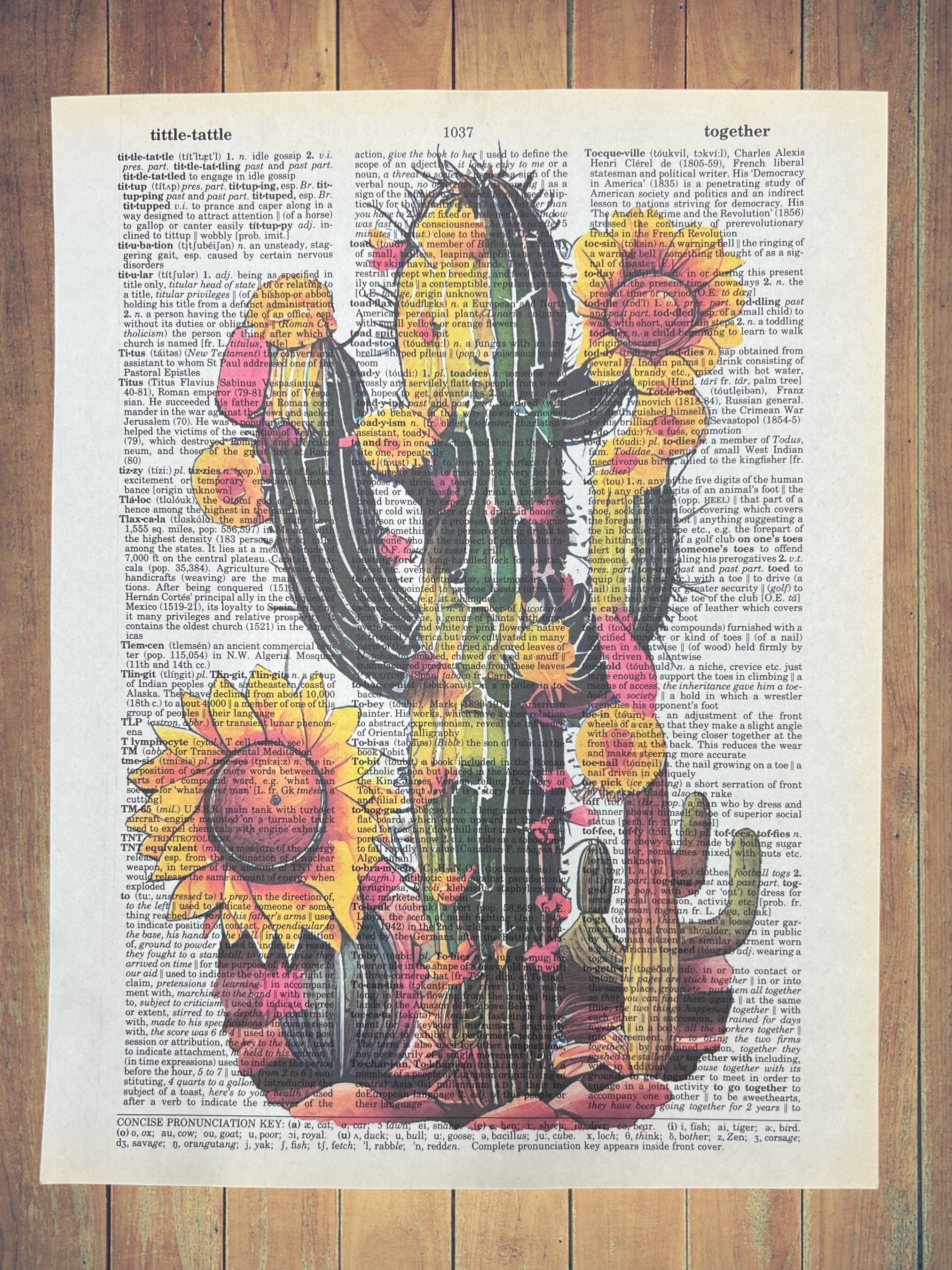 Cactus With Flowers Dictionary Prints Cactus Home Wall Decor Etsy