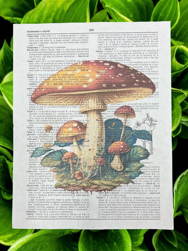 Mushroom Dictionary Prints Cottagecore Wall Art Mushroom Home Decor mushroom-dictionary-prints-cottagecore-wall-art-mushroom-home-decor