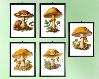 Mushroom Themed Bundle Mailed Prints, Set of 5 Mushroom Prints, Printed Mailed Wall Decor, Mushroom Dorm Decor, 8.5" x 11" Gallery Wall Art