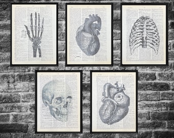 Anatomy Dictionary Prints Minimalist Black and White Art Print Set of Five Recycled Eco-Friendly Vintage Book Pages-2a