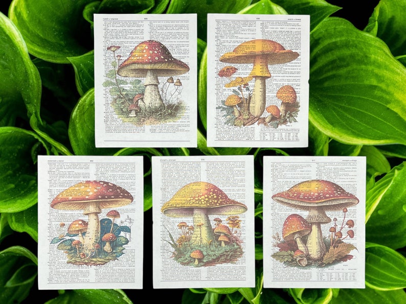 Mushroom Dictionary Prints Cottagecore Wall Art Mushroom Home Decor