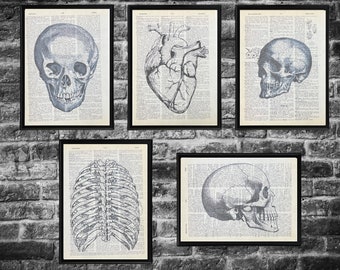 Anatomy Dictionary Prints Minimalist Black and White Art Print Set of Five Recycled Eco-Friendly Vintage Book Pages-1a