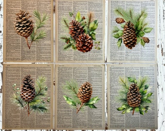 Pinecones Themed Dictionary Prints Wall Art, Woodland Pinecones Decor Prints Set 6, Rustic Wall Decor Pinecone Upcycled Art Prints