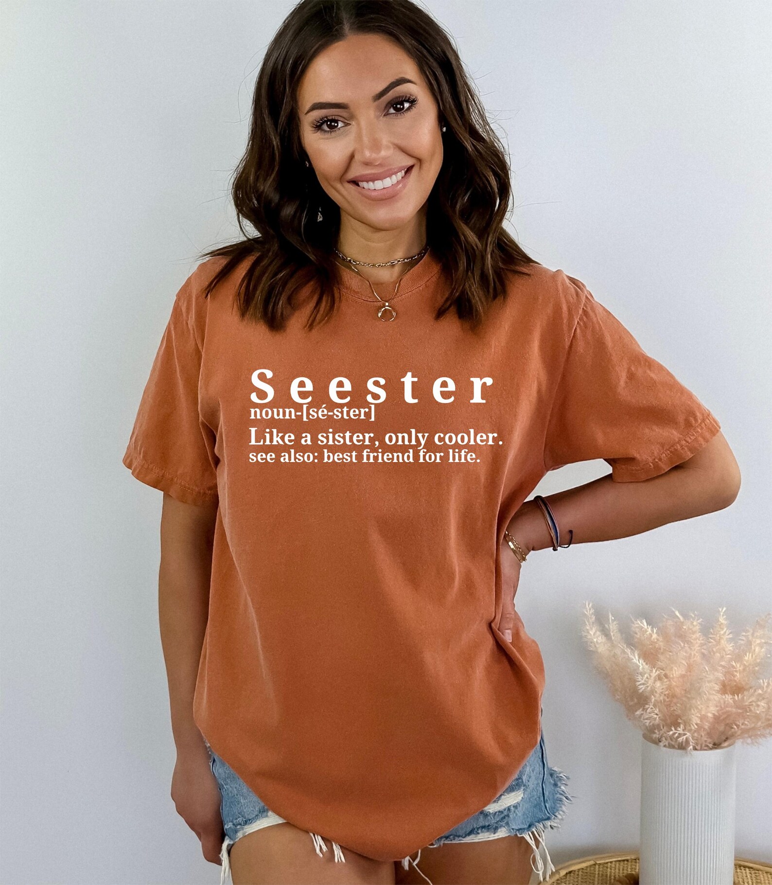 Seester Noun Comfort Colors Shirt, Seester Definition Tshirt, Seester