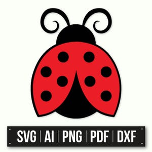 Elegante grafica coccinella / Download immediato / Arte vettoriale rosso nero / Coccinella SVG PNG DxF AI / Illustrazione di insetto carino