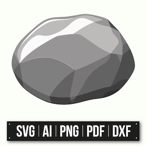 May include: A gray, irregularly shaped rock with a smooth, slightly shiny surface. The rock is isolated against a white background.