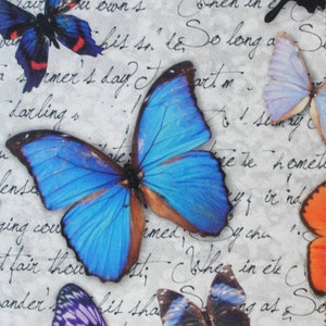 Papillons, magazine, fleurs et tissu Istanbul, 4 échantillons