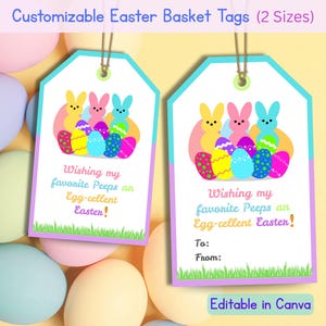 Anpassbare Ostern Korb Tags, druckbare Ostern Geschenkanhänger, bearbeitbare Osterkorb Name, Kinder Klassenzimmer Osterhase Tags, 2x3 2.5x4, US, A4