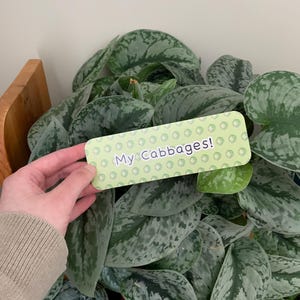 May include: A rectangular light green bookmark featuring a repeating pattern of small white cabbage icons and the text My Cabbages! in a dark purple font, held in front of a lush Scindapsus pictus plant with variegated silver and green heart-shaped leaves.