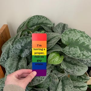 May include: A rectangular bookmark featuring horizontal stripes in red, orange, yellow, green, blue, and purple. The text "I'm having a proper, full-on gay crisis." is printed in black, centred across the yellow, green, and blue stripes.
